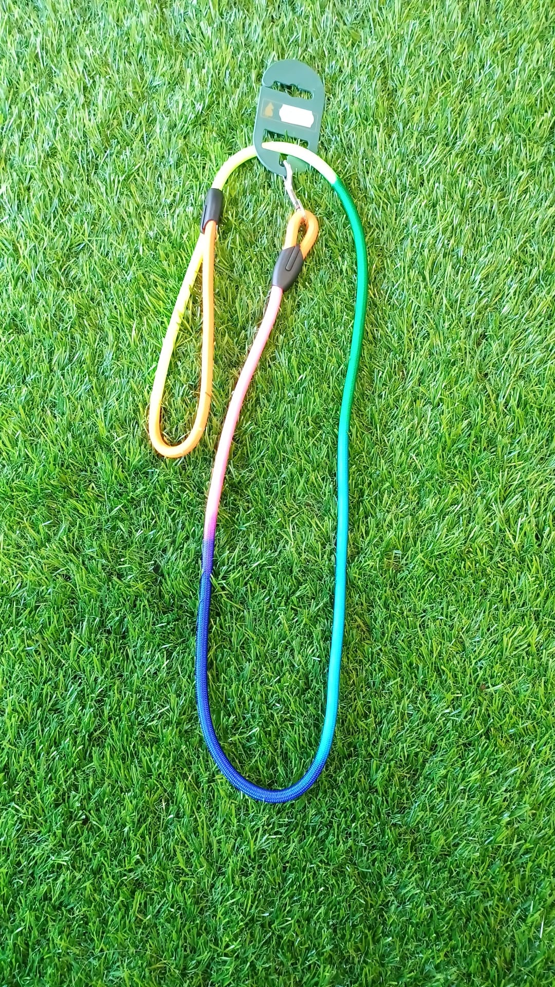 Rainbow Light Leads