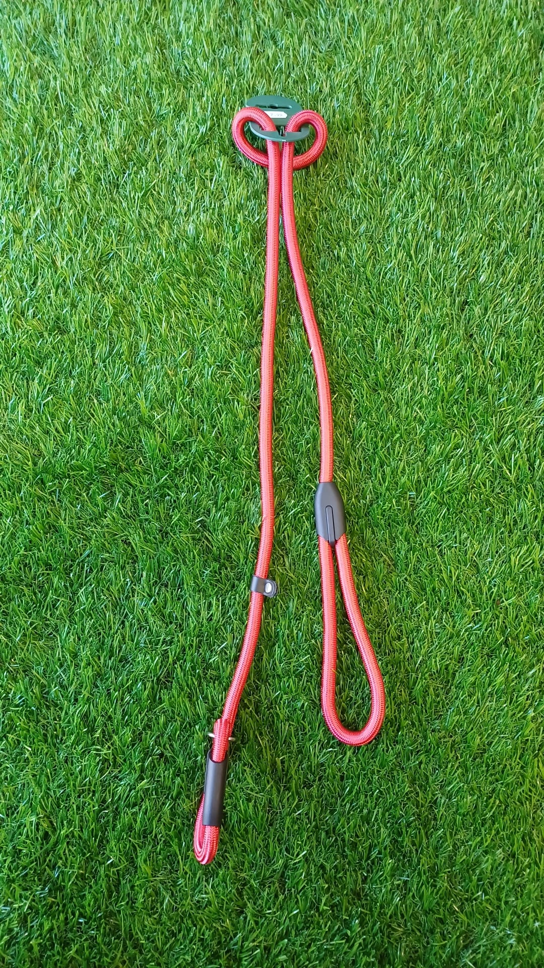 Slip Dog Leads