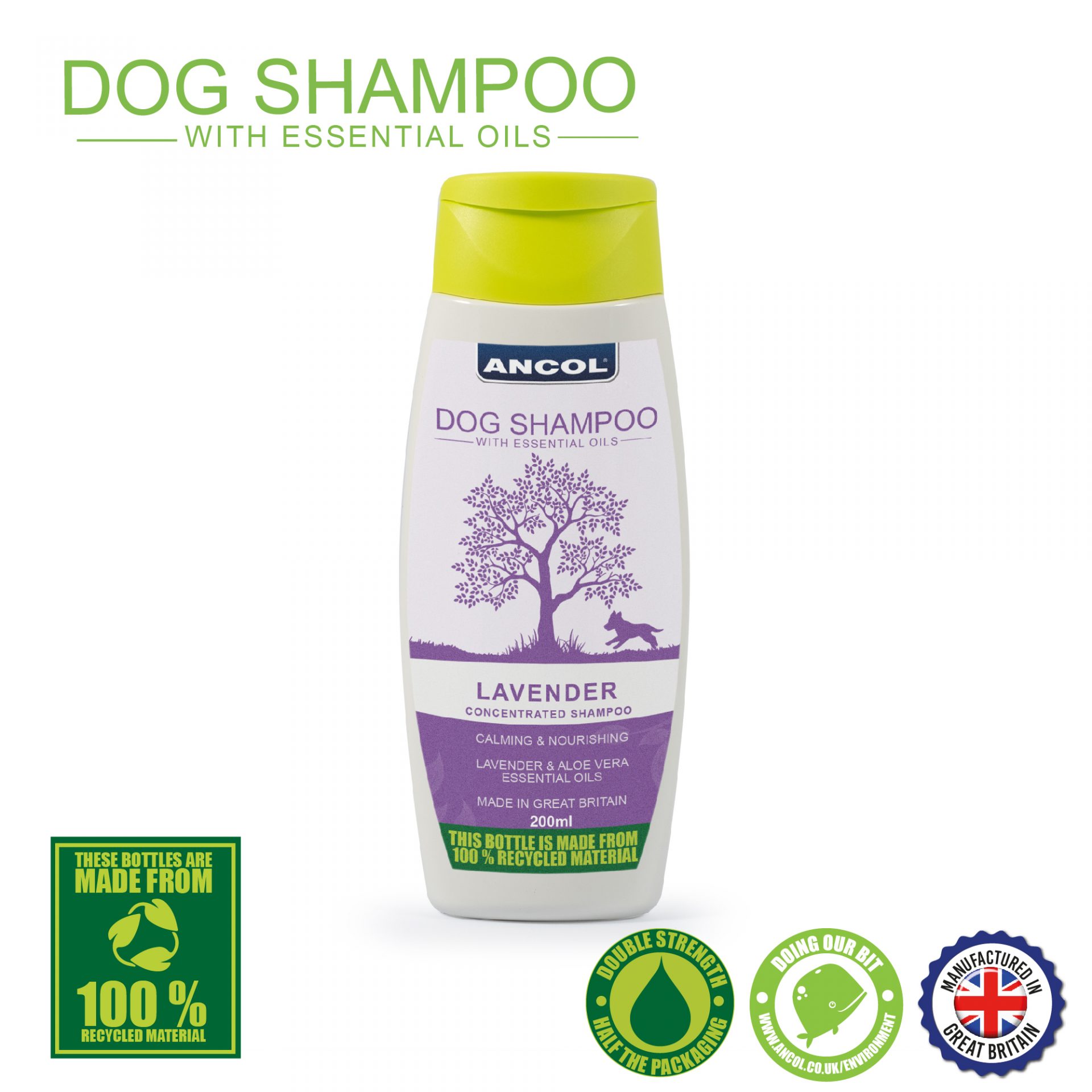 Ancol Dog Shampoo Lavender 200ml