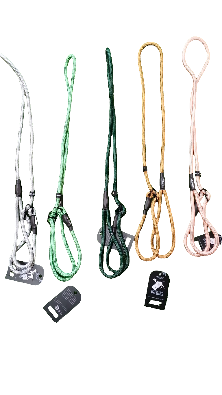 10mm Durable Slip Lead – Secure & Comfortable Control for Your Dog
