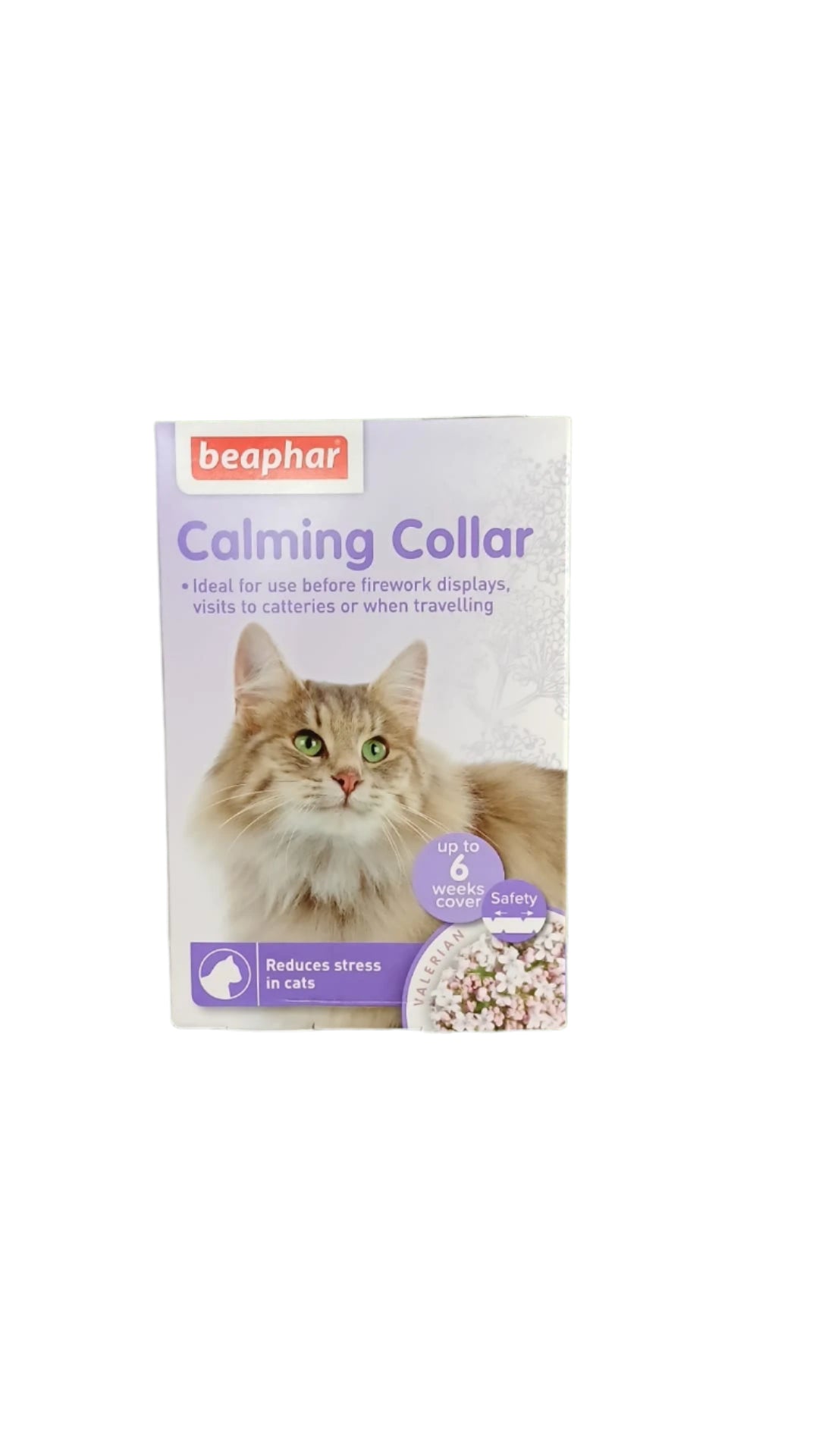Calming Collar for Cats