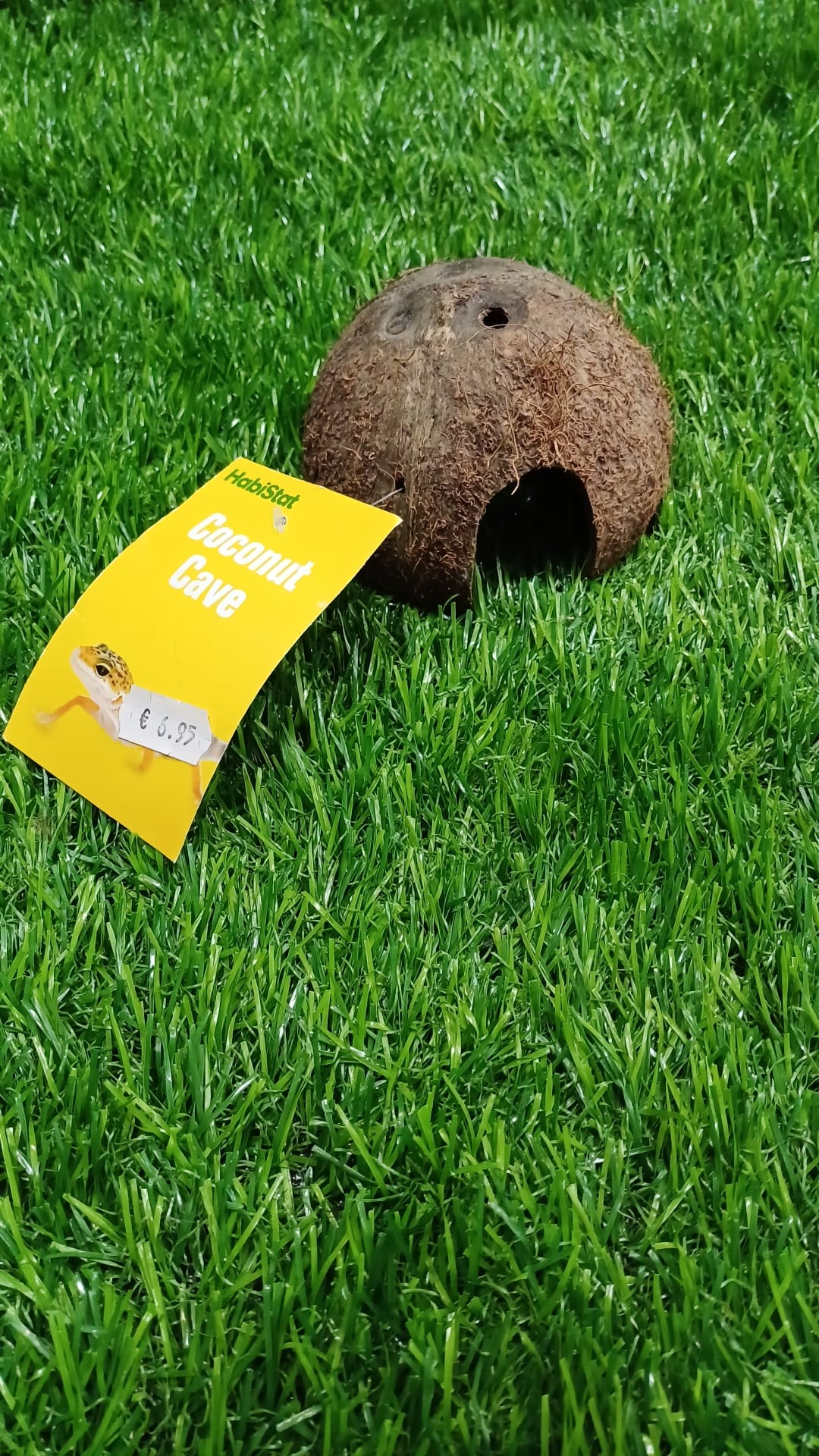 Coconut Cave