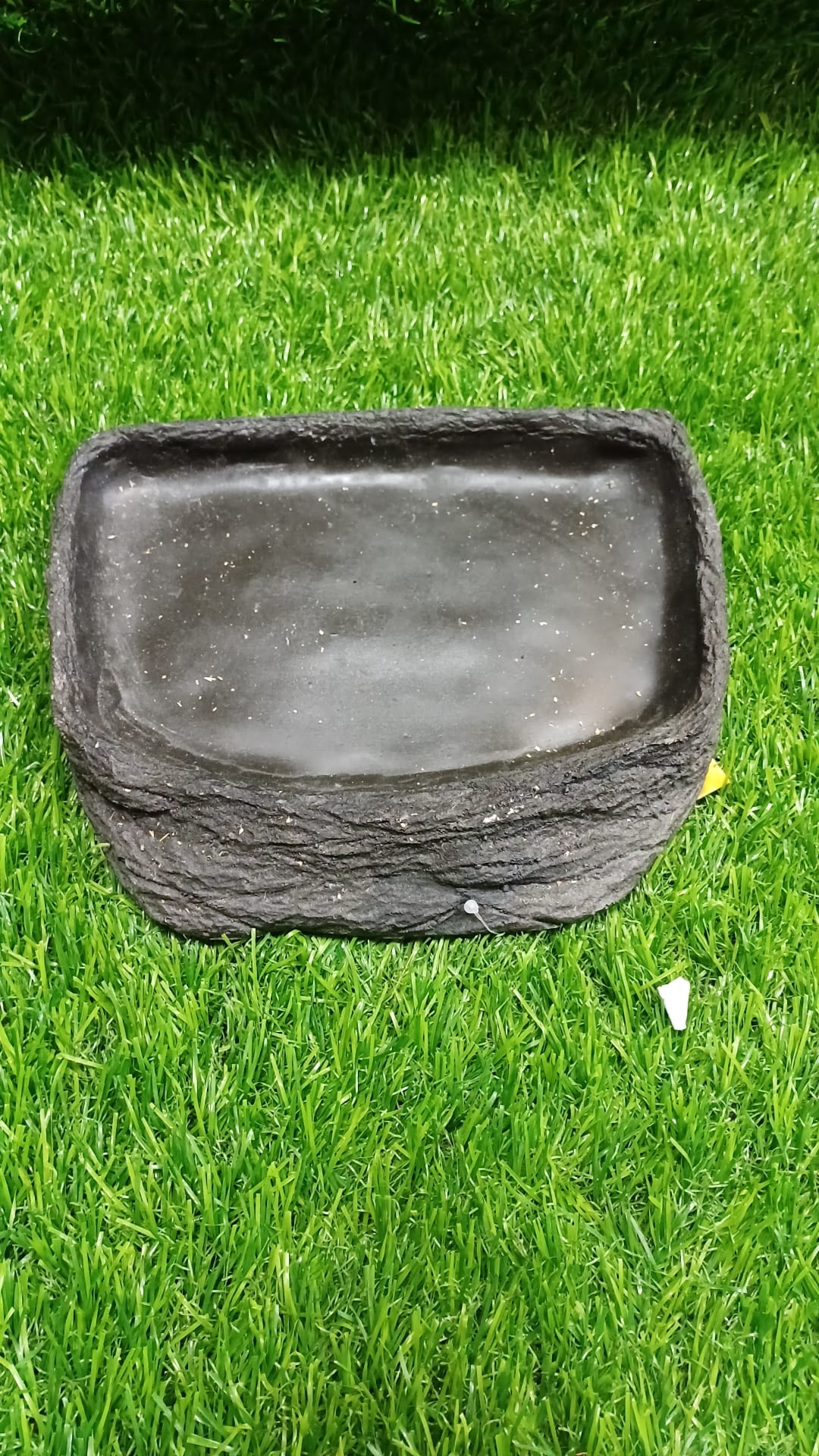 Tortoise Pool by HabiStat