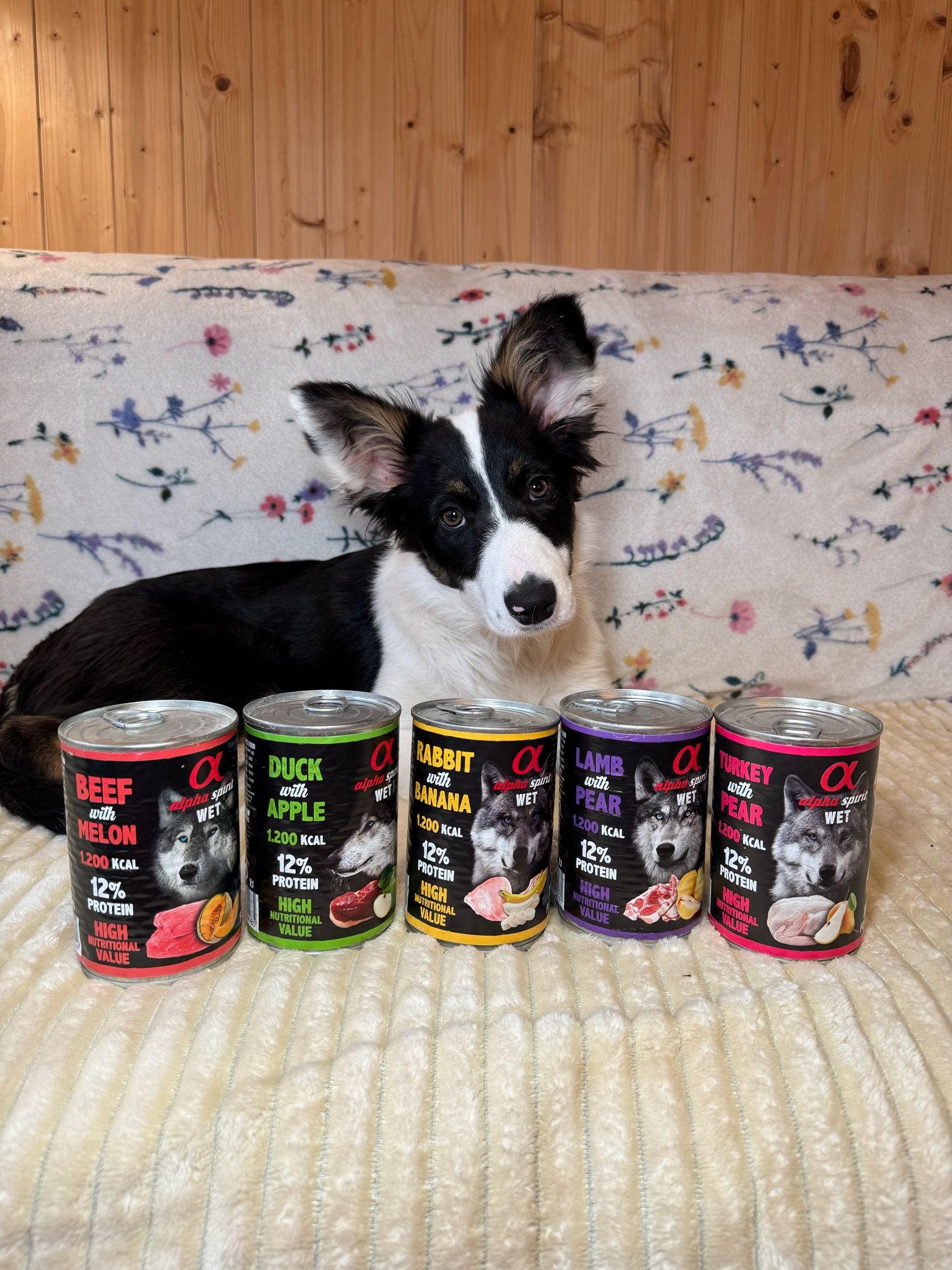 Alpha Spirit Turkey with Pear wet food.