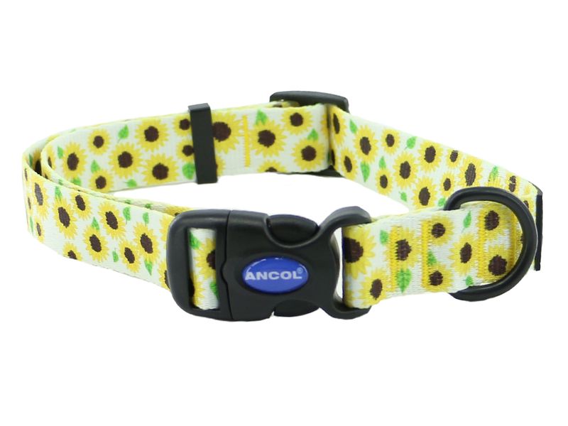 Soho Sunflower Dog Collar